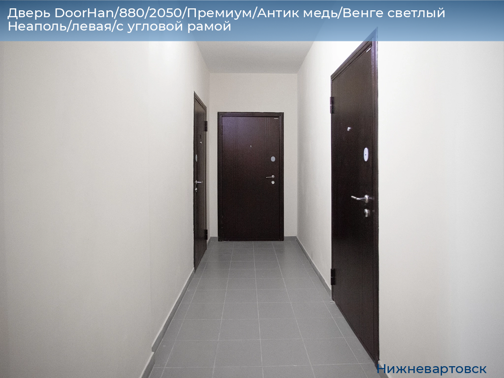 Дверь DoorHan/880/2050/Премиум/Антик медь/Венге светлый Неаполь/левая/с угловой рамой, nizhnevartovsk.doorhan.ru