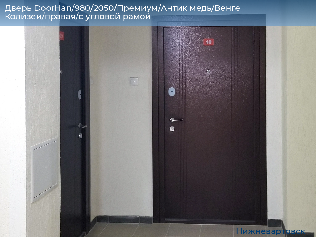Дверь DoorHan/980/2050/Премиум/Антик медь/Венге Колизей/правая/с угловой рамой, nizhnevartovsk.doorhan.ru